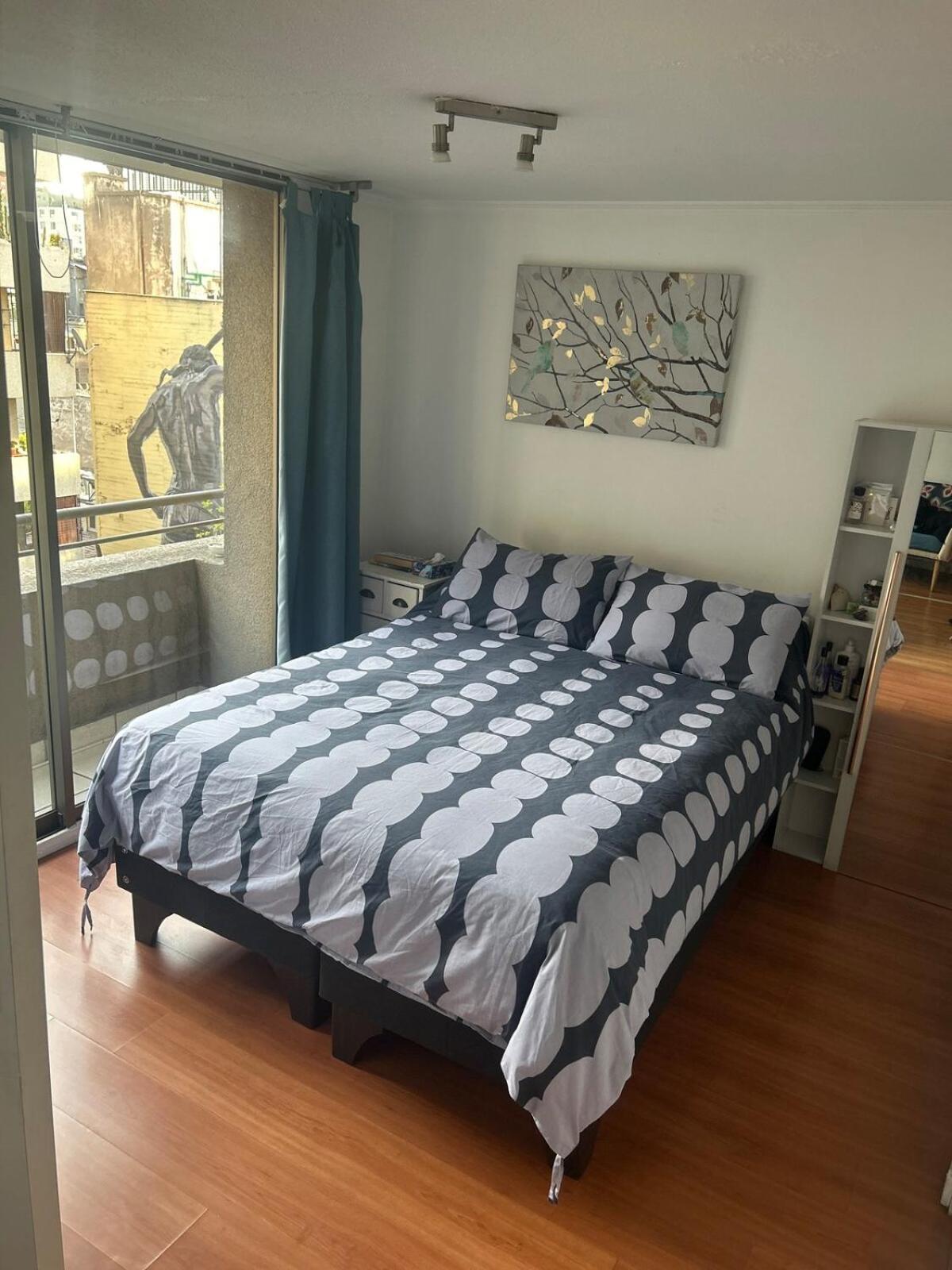 Apartamento Barrio Bellas Artes