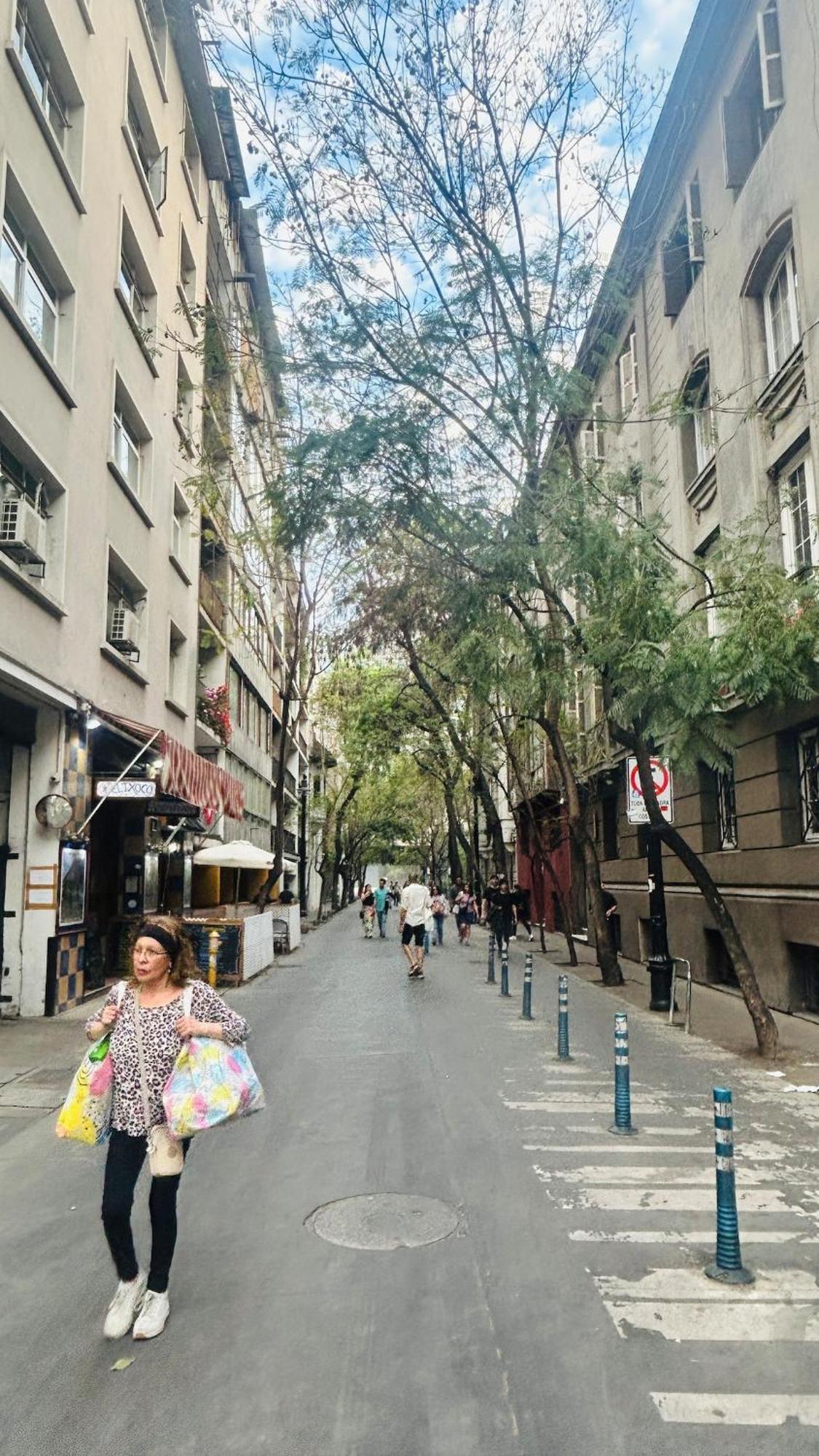 Barrio Bellas Artes Apartamento Santiago