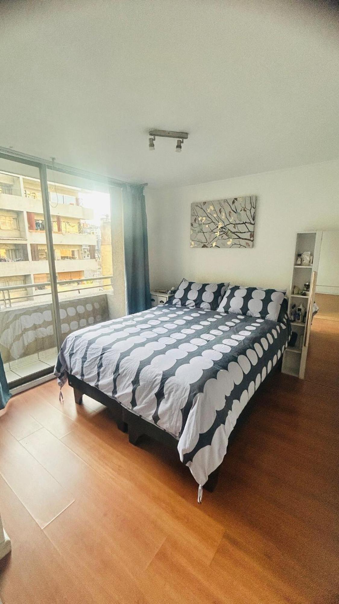 Apartamento Barrio Bellas Artes *