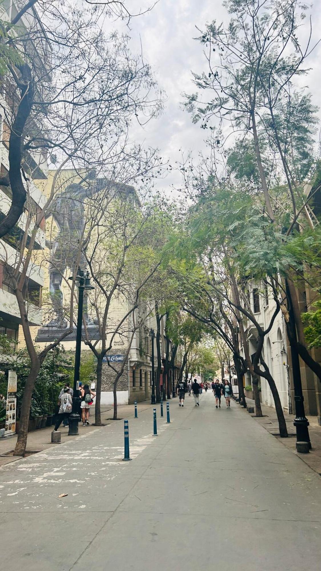 Barrio Bellas Artes Apartamento Santiago