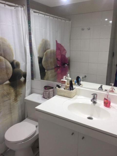 Barrio Bellas Artes Apartment